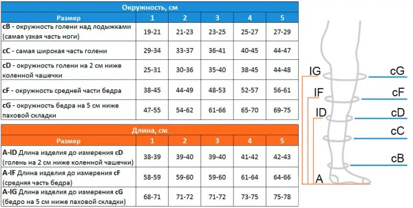 5. EU 217 Чулки антиэмболические Ergoforma 1 класс компрессии белые 5. EU 217 Чулки антиэмболические Ergoforma 1 класс компрессии белые