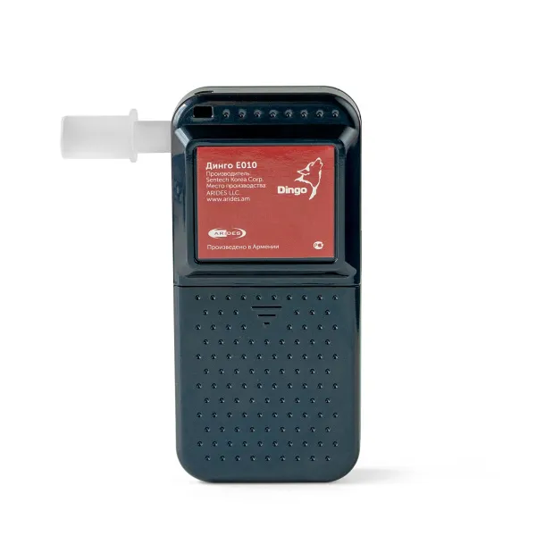 Dingo E010_3